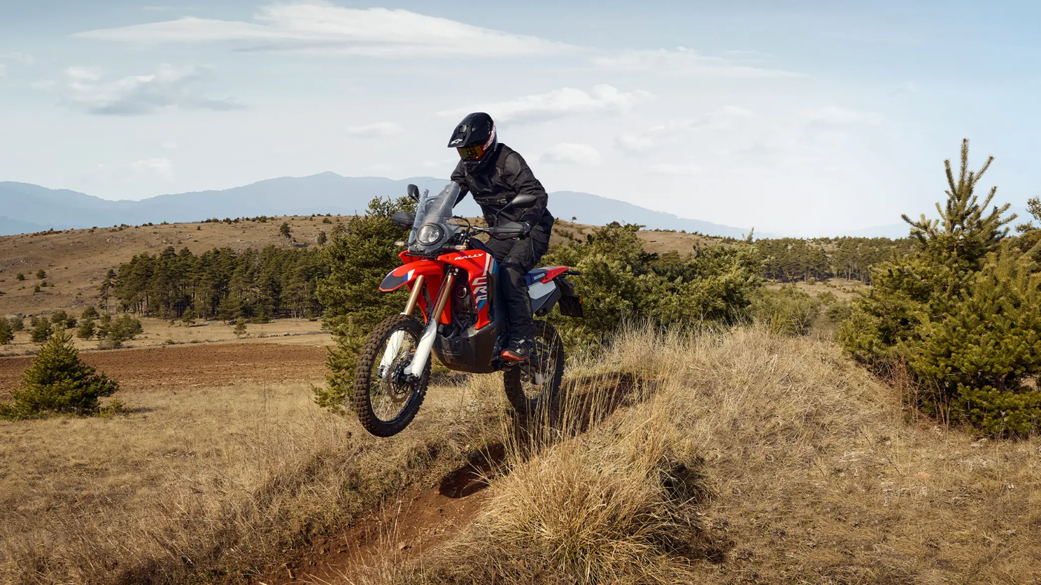 Honda CRF300 Rally